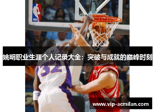 姚明职业生涯个人记录大全：突破与成就的巅峰时刻