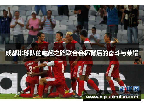 成都排球队的崛起之路联合会杯背后的奋斗与荣耀